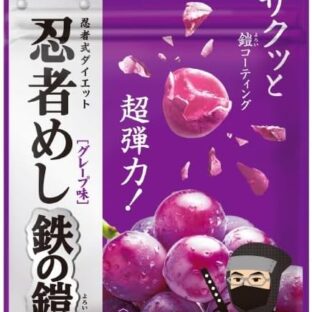 UHA味覚糖 忍者めし 鉄の鎧 グレープ味 40g×10個